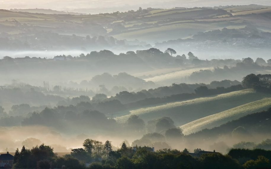 Bridport Walks