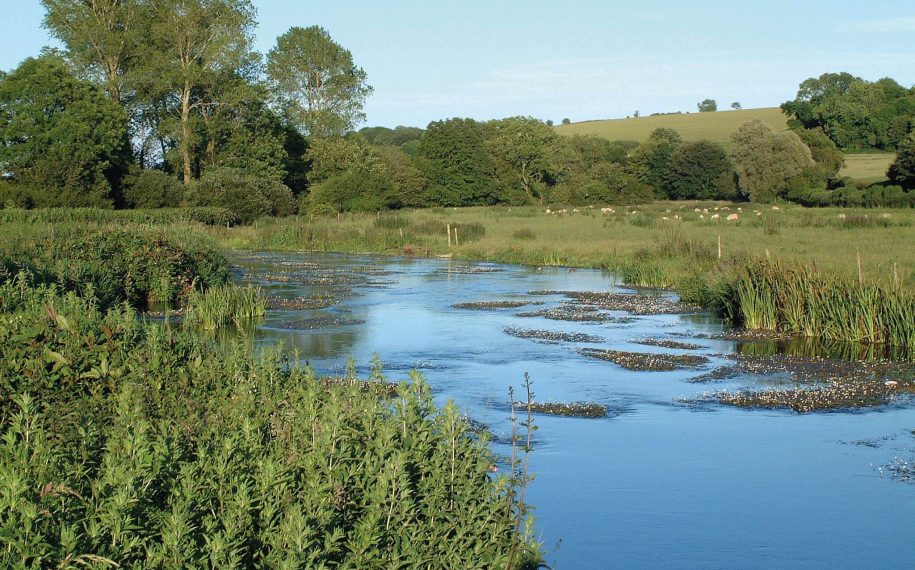 Rivers & Streams