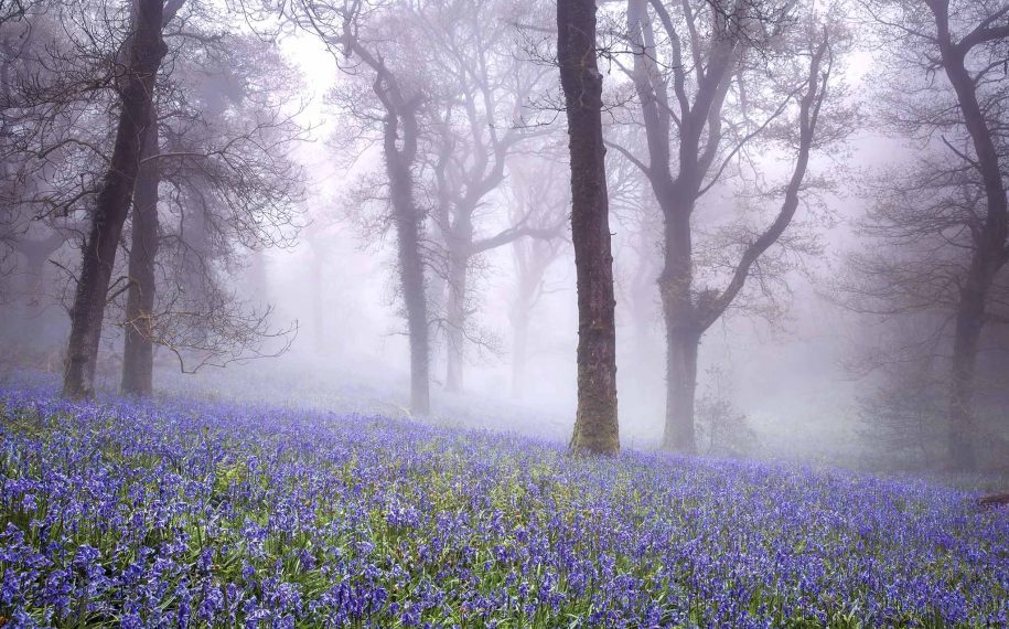 Okeford Hill