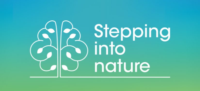 Stepping into Nature