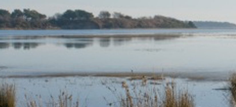 Wild Purbeck