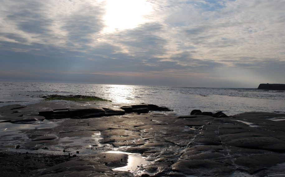 Kimmeridge Bay