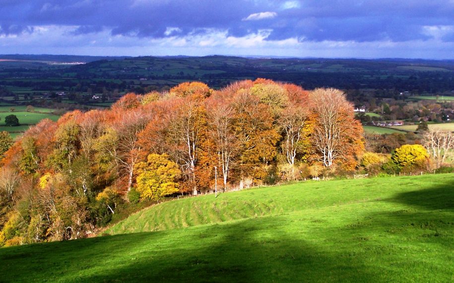 Dorset AONB Fund is now open for Applications