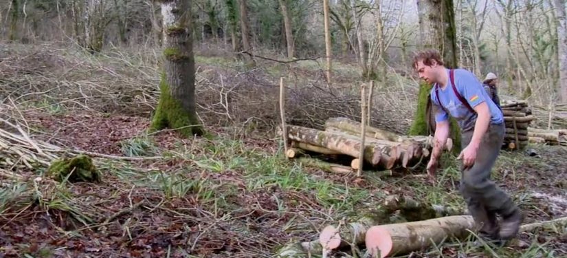 Making the most of wood fuel