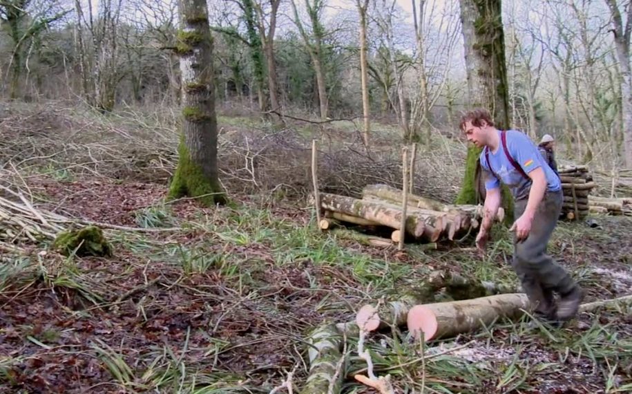 Making the most of wood fuel