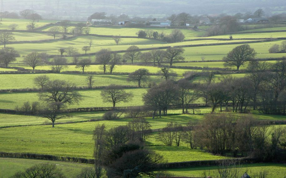 Reconnecting the Landscape