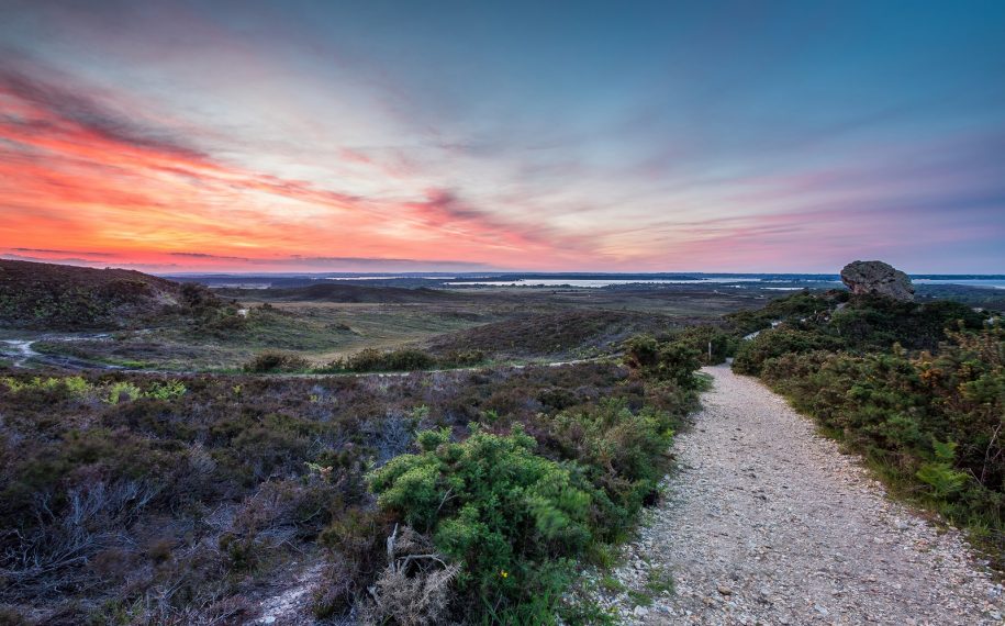 Purbeck Heaths Grazing Unit