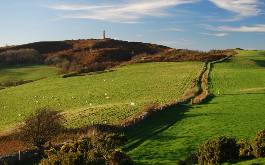 Dorset National Landscape Annual Forum in Dorchester