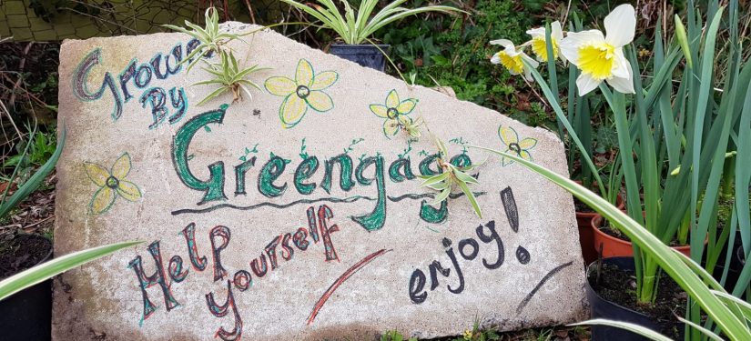 Blog 2 – Finding Value in Nature