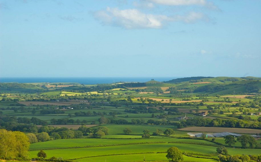 COVID-19 and the Dorset AONB: Update June 2020