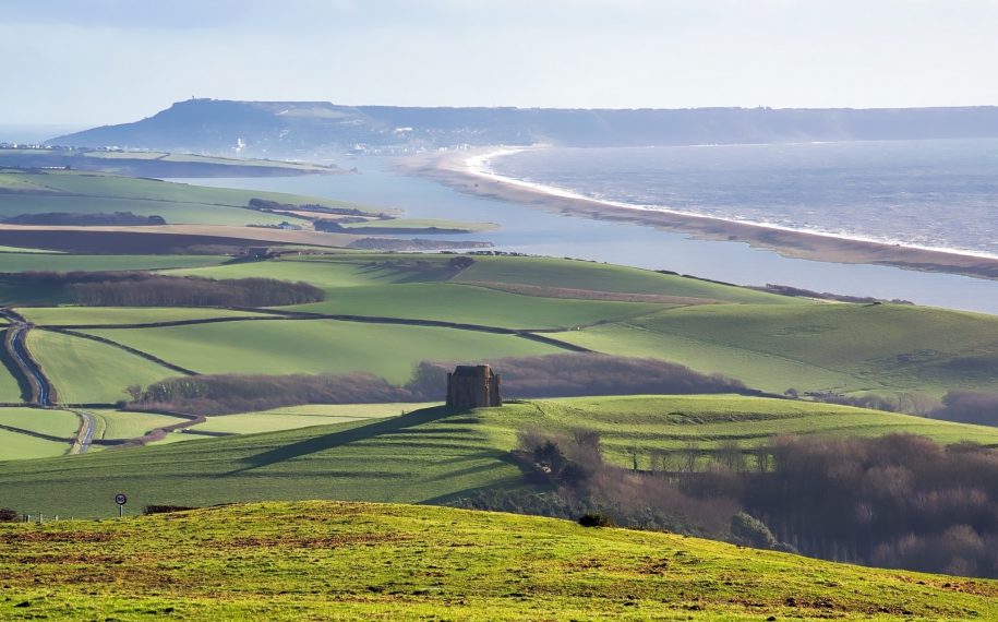 Landscape Planning and Assessment