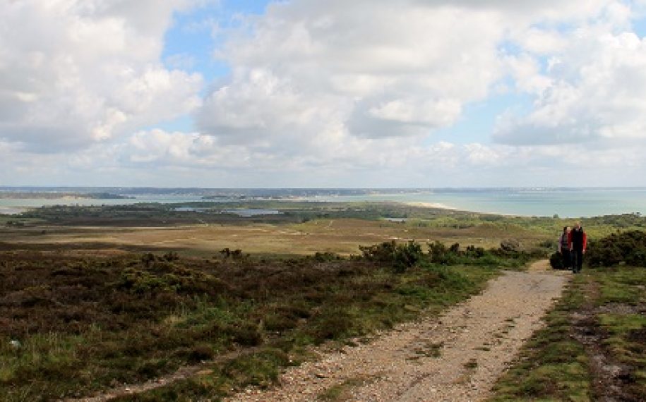 Wytch Farm Landscape and Access Enhancement Fund