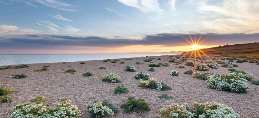 Burton Bradstock