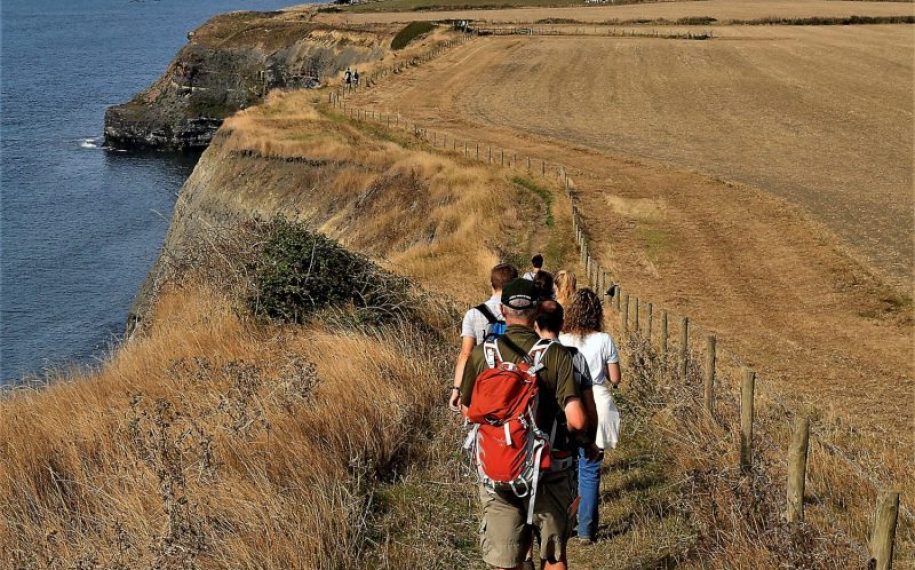 Purbeck Walking Festival 2019