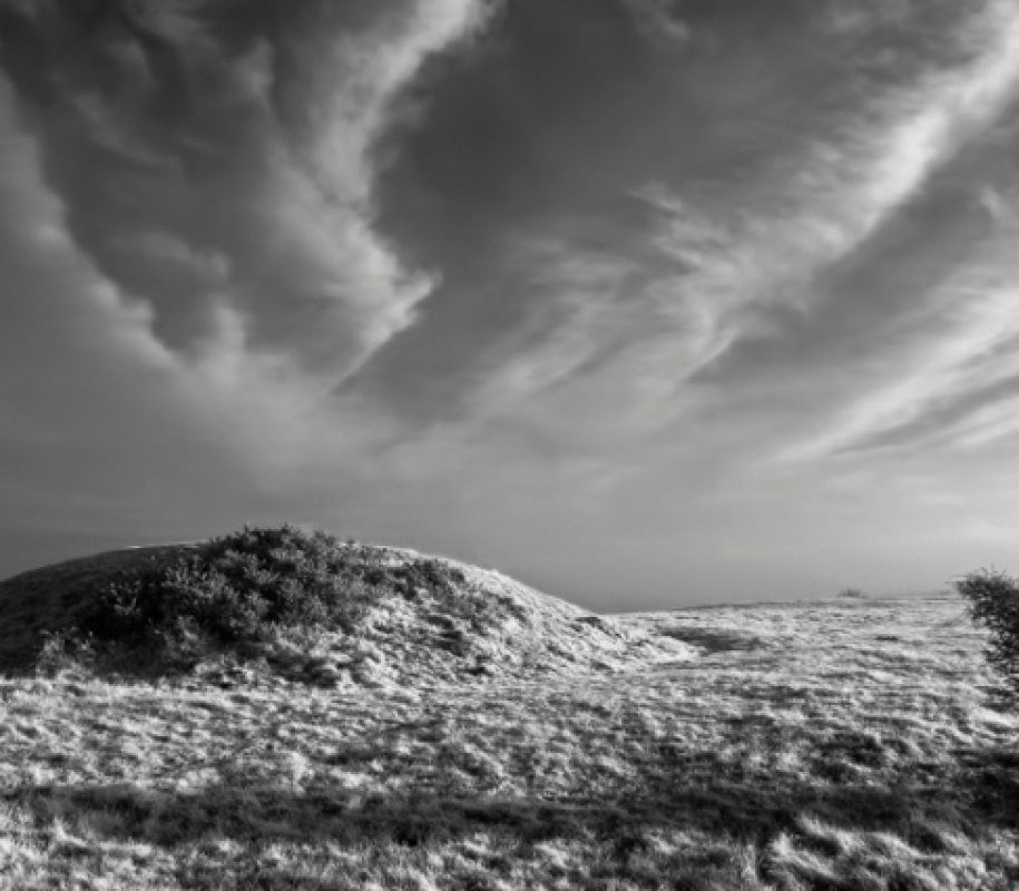 Land of Bone & Stone: A Journey through the South Dorset Ridgeway