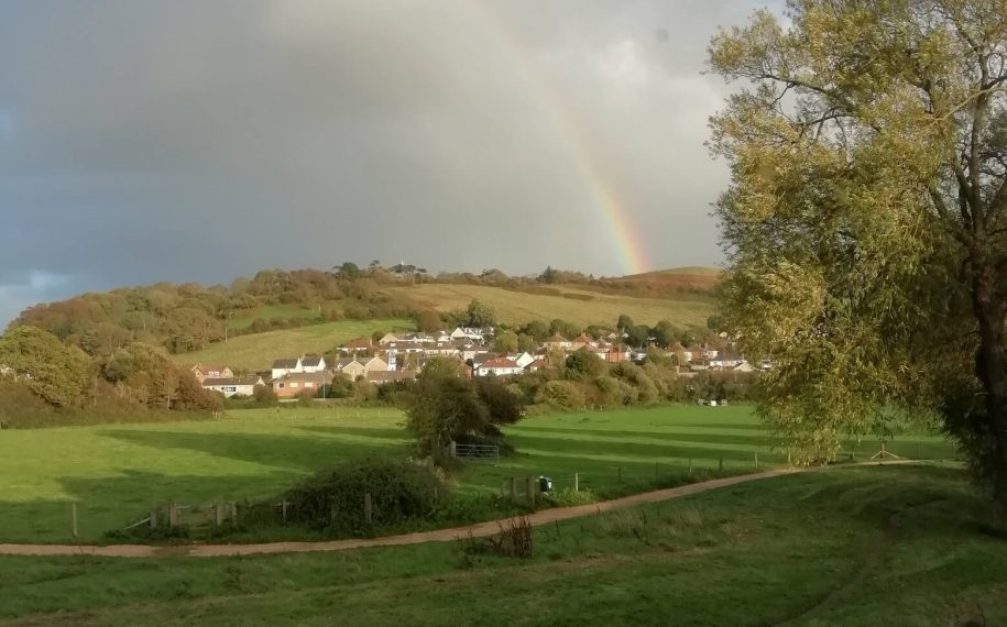 New trees for Asker Meadow