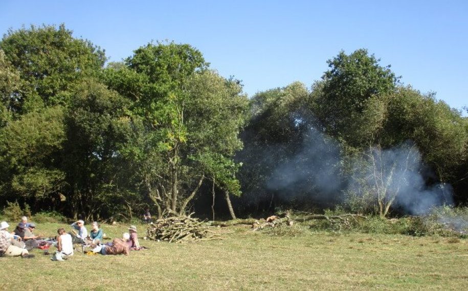 Have a go: Meadow Restoration 12th March 2020