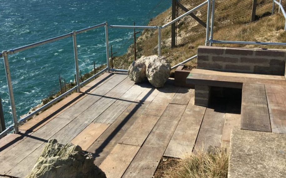 Fossil Forest re-opens to the public