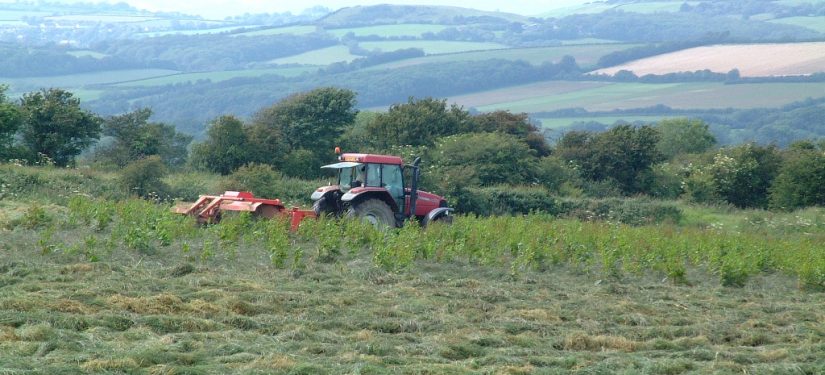 High Stoy Conservation Cluster biodiversity assessment and management plan
