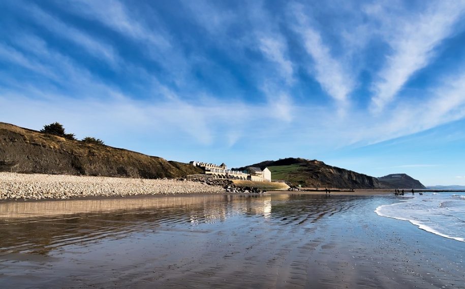 Charmouth signs
