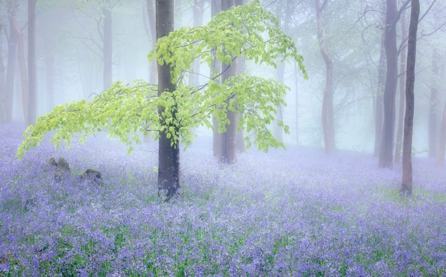 May Day, May Day … tell us your Spring stories!