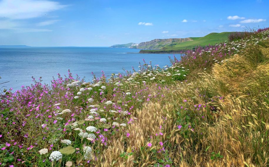 Landscapes for Life Photo Competition Winners announced
