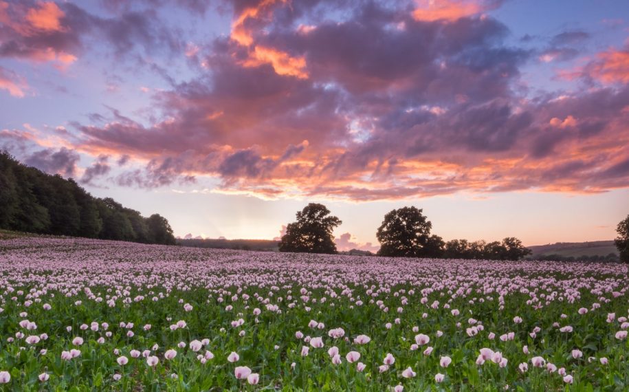Landscapes for Life Photo Exhibition