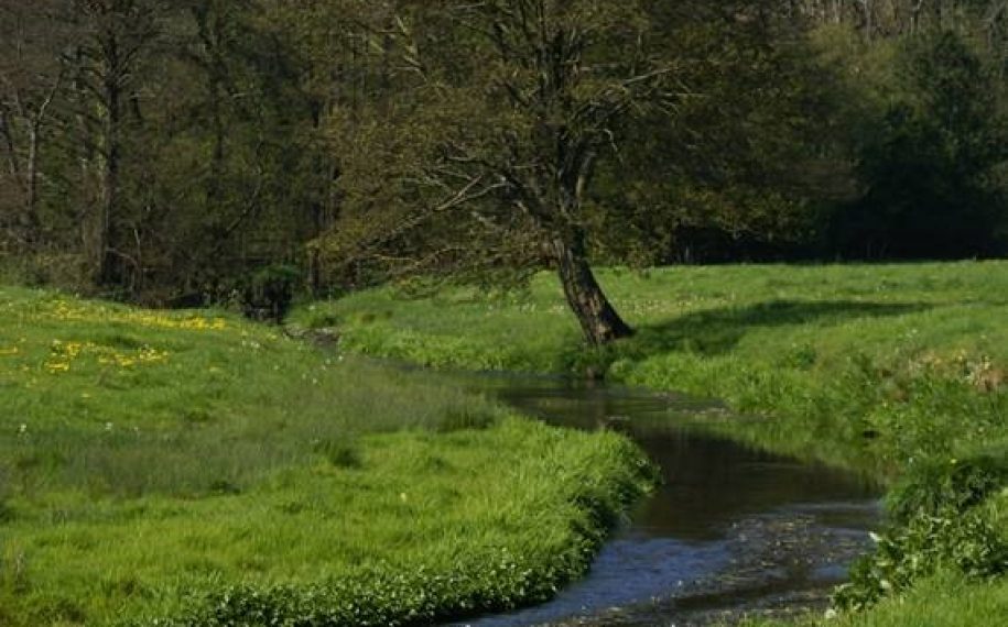 Frome Valley Trail