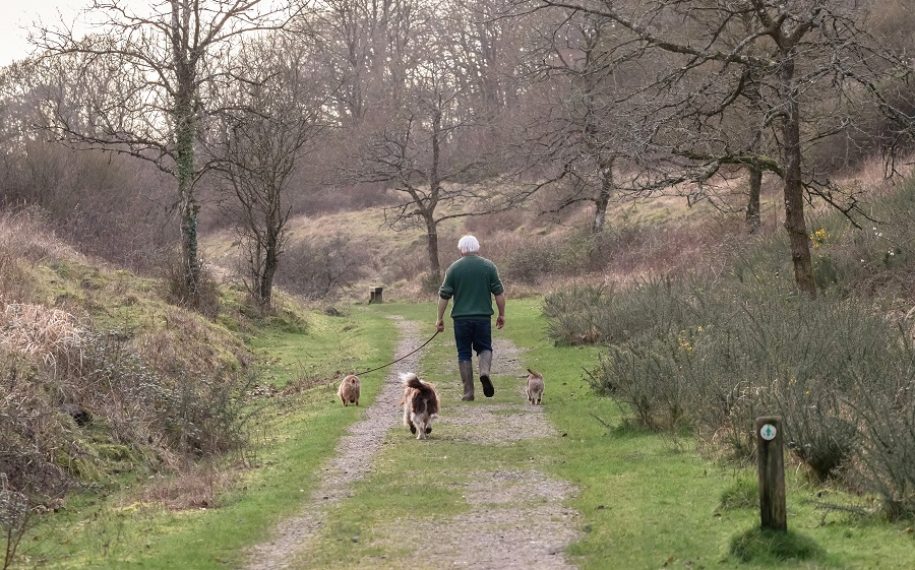 Landscapes for Life Week 2020: Your Natural Health Service