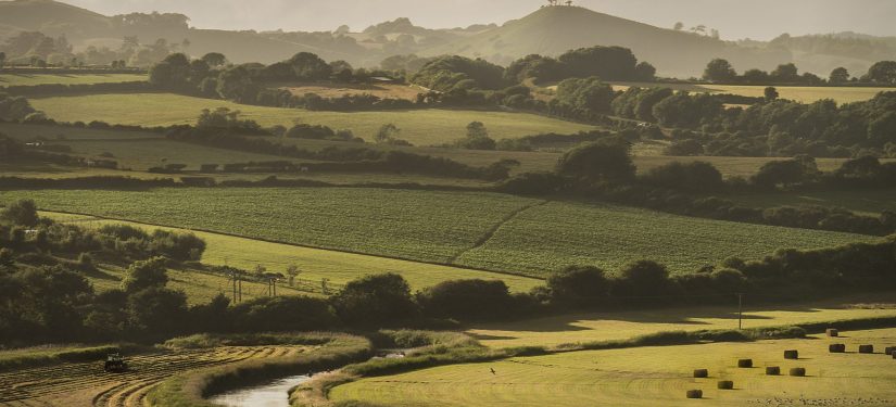 Farming and Forestry
