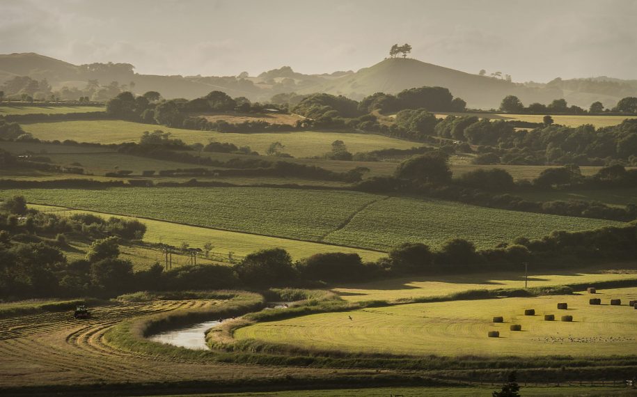 Farming and Forestry