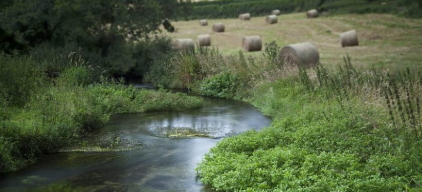 Cerne Valley Way