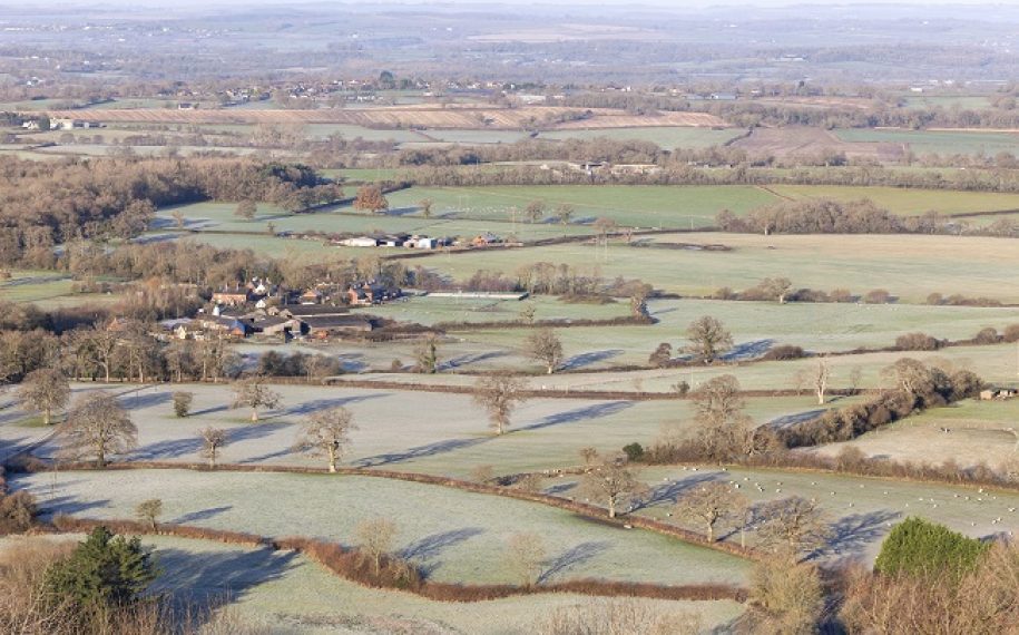 Woolland Hill
