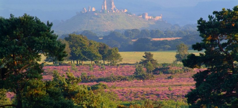 Dorset receives grants of £763,900 from the Green Recovery Challenge Fund