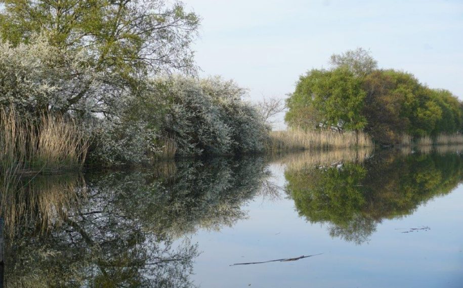 Evening along the riverbank