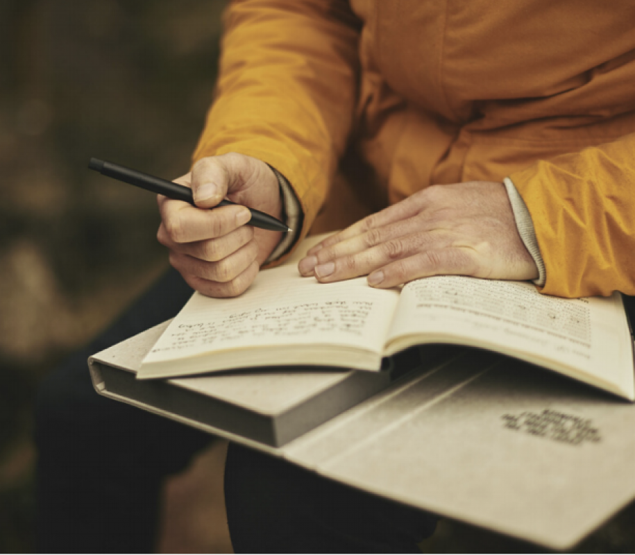 Wild Writing Workshops