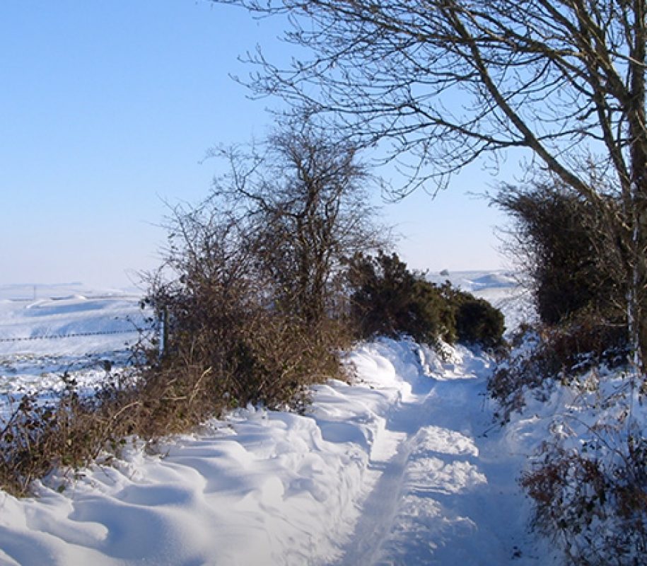 Winter Conversation Postcards