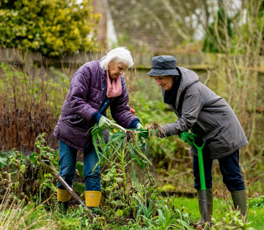 Get tailored support to live well