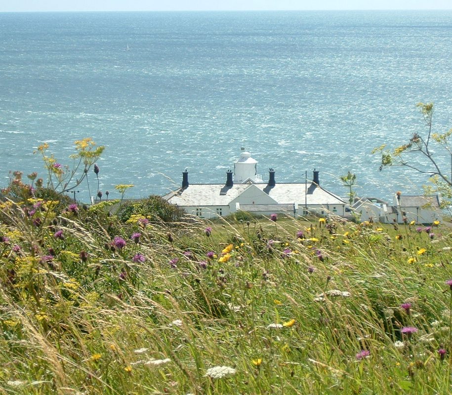 Dorset’s Country Parks
