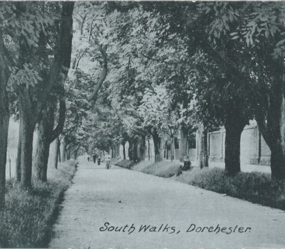 Walk Dorset’s History