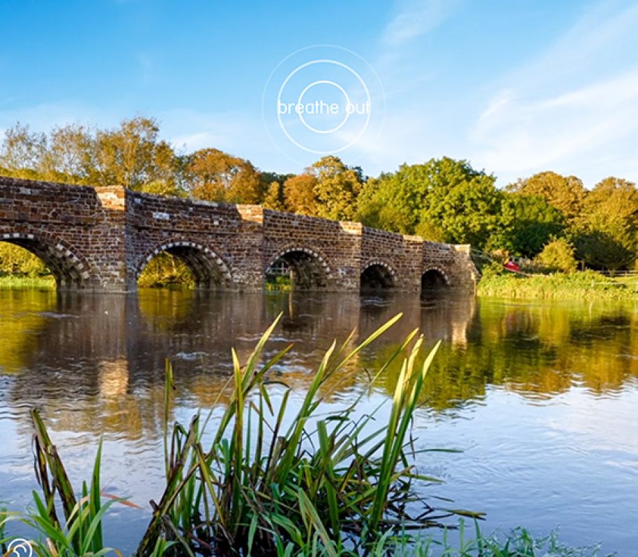 Relax with Dorset scenery
