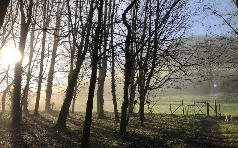 COVID-19 and the Dorset AONB: Update March 2021
