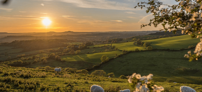Spring book giveaway to improve wellbeing through nature