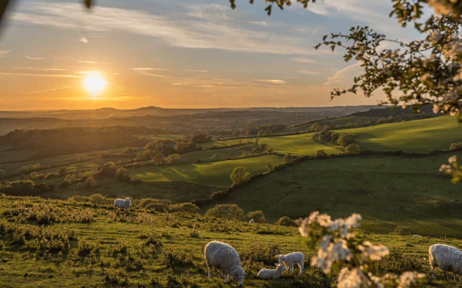 Talking Tent: In Conversation – Spring