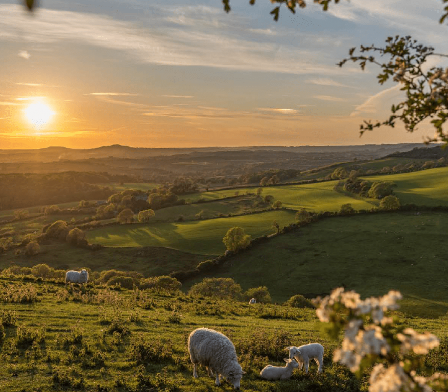 ‘Seasons of Stories: Spring’ Book and Audiobook