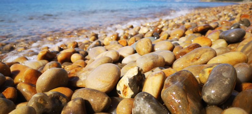 Charmouth
