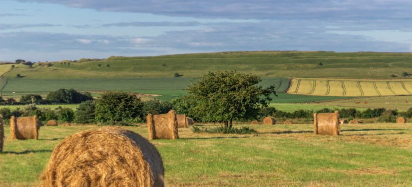 Farming in Protected Landscapes programme
