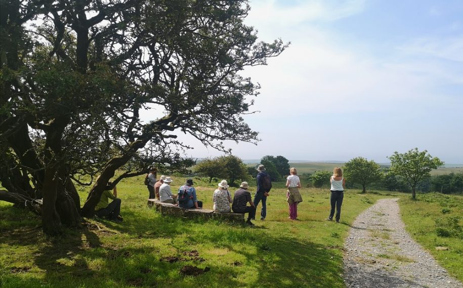 New project to increase connection to art and nature for wellbeing