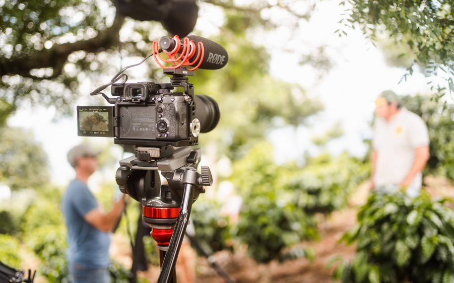 Your Seasons of Stories Project – opportunity for filmmaker