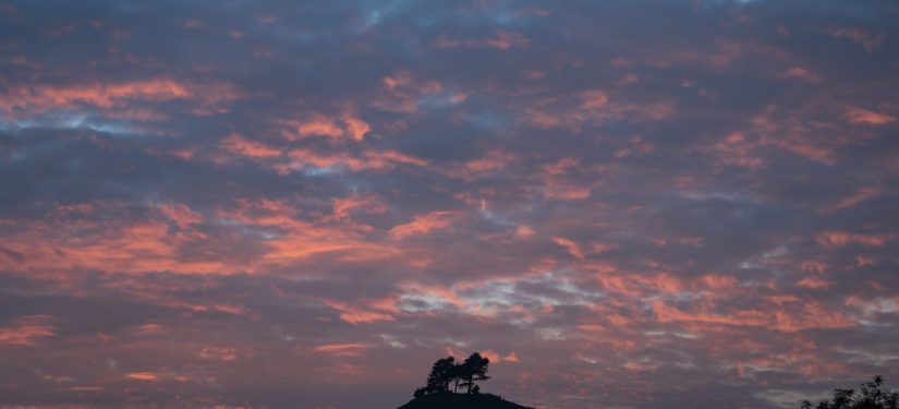 Why Colmers Hill has nine pine trees